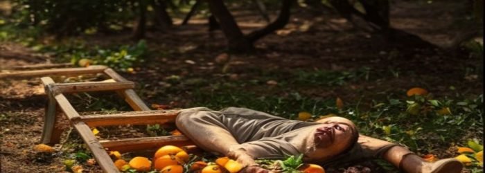 Caí da escada apanhando laranja - Apanhador de laranja - direitos do trabalhador acidentado MWBC